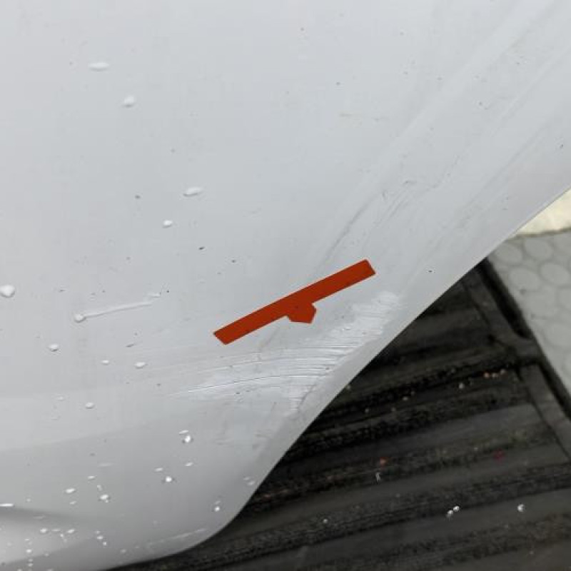 Porte arriere gauche CITROEN C3 2 Photo n°2