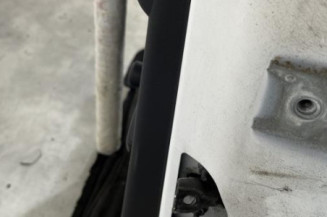 Porte arriere gauche CITROEN C3 2