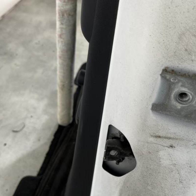 Porte arriere gauche CITROEN C3 2 Photo n°5