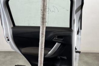Porte arriere gauche CITROEN C3 2