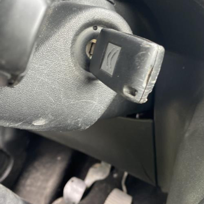 Porte arriere gauche CITROEN C3 2 Photo n°16