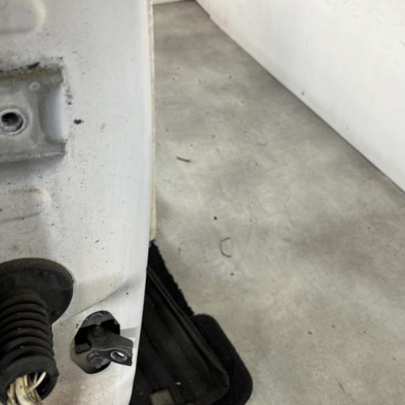 Porte avant droit CITROEN C3 2 Photo n°2