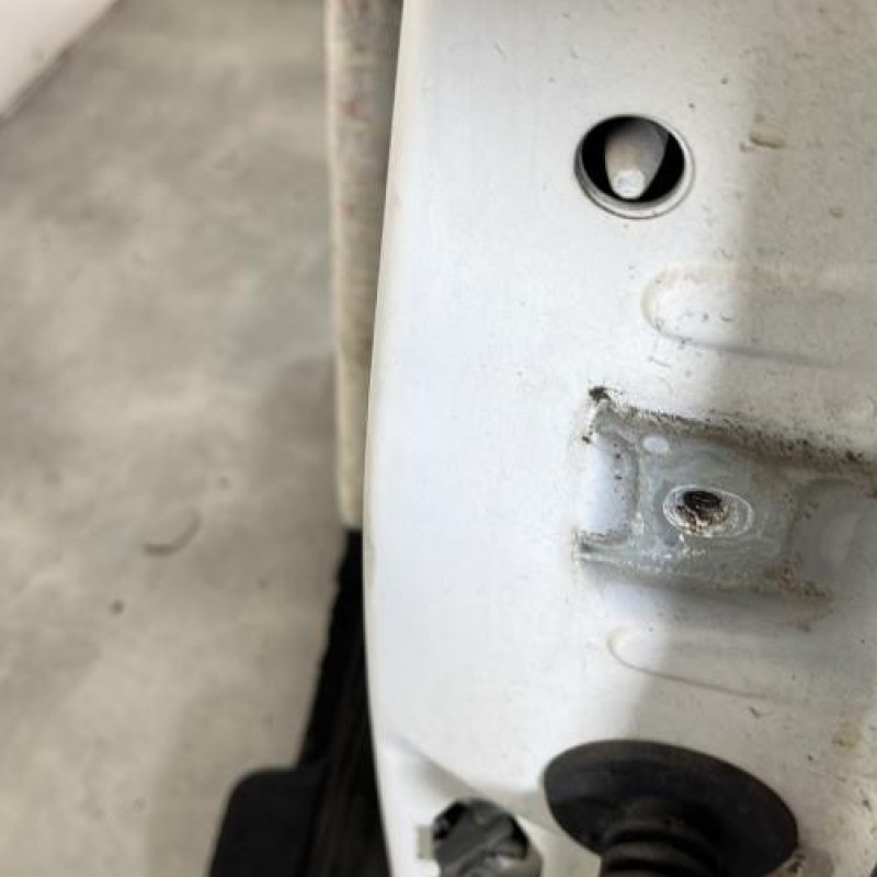 Porte avant gauche CITROEN C3 2 Photo n°4