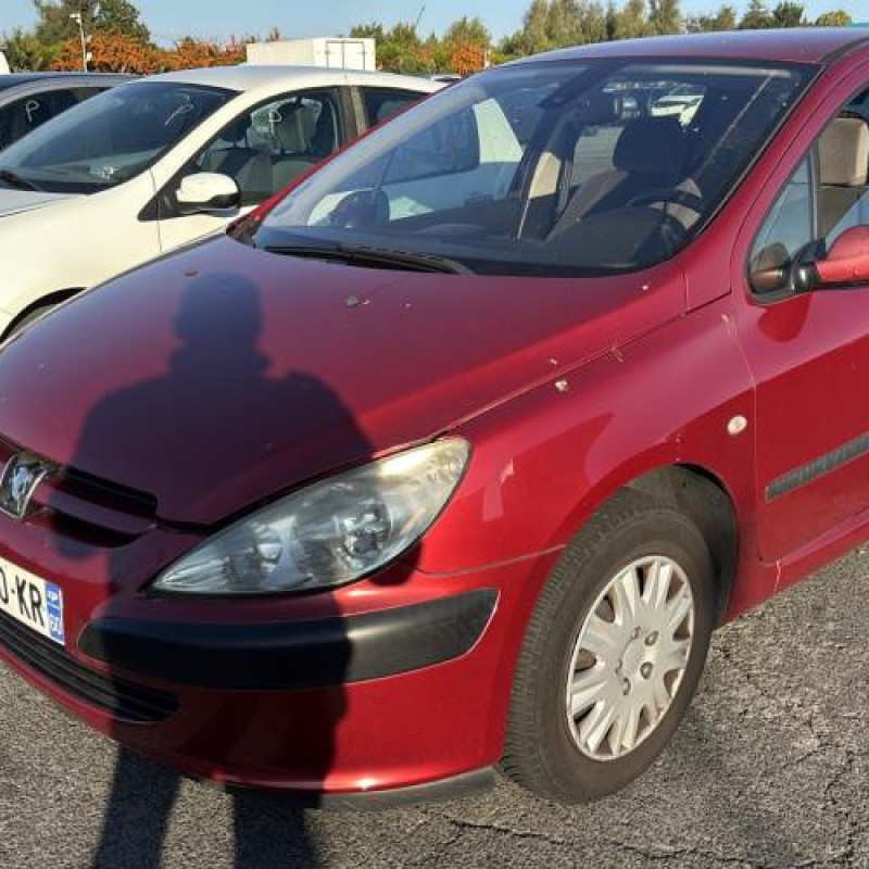 Porte avant droit PEUGEOT 307 Photo n°9