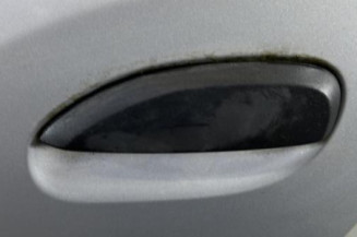 Porte arriere gauche DACIA SANDERO 2