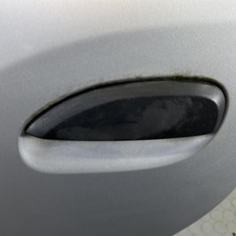 Porte arriere gauche DACIA SANDERO 2 Photo n°2