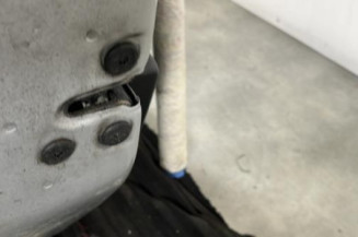 Porte arriere gauche DACIA SANDERO 2