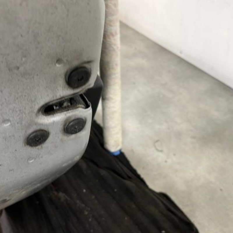 Porte arriere gauche DACIA SANDERO 2 Photo n°3