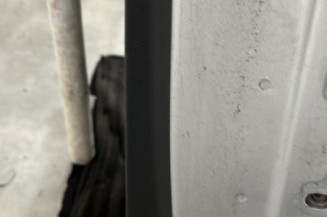 Porte arriere gauche DACIA SANDERO 2