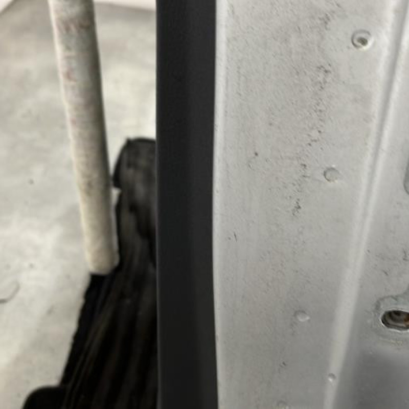 Porte arriere gauche DACIA SANDERO 2 Photo n°4