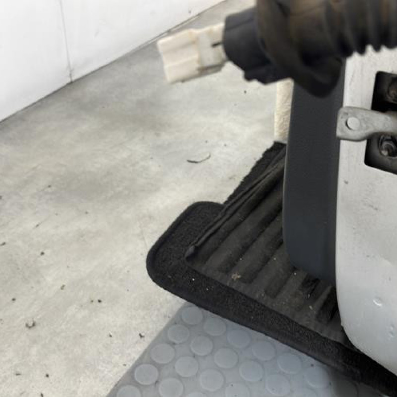 Porte arriere gauche DACIA SANDERO 2 Photo n°5