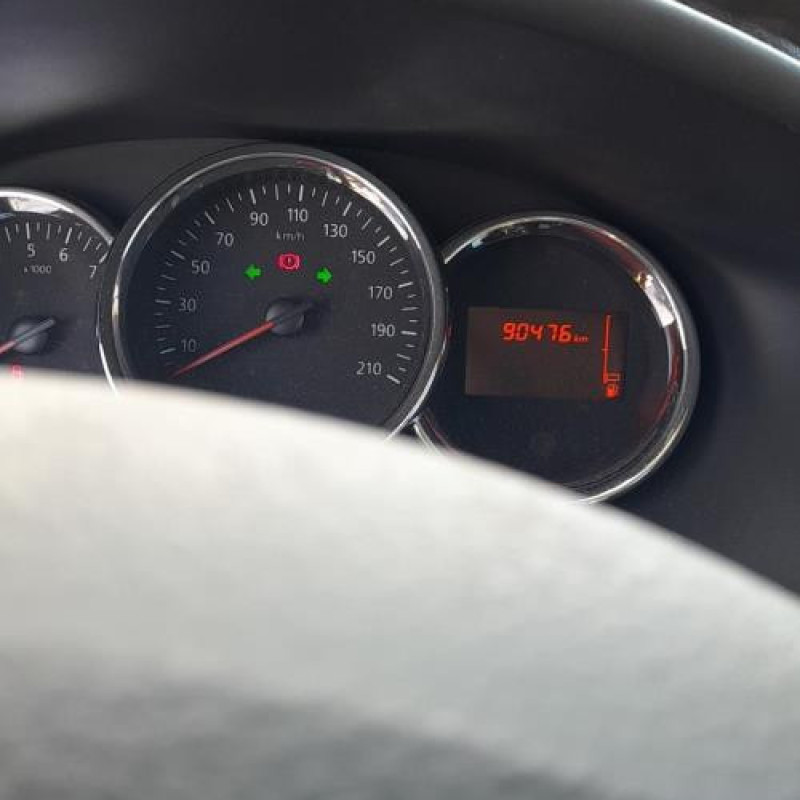 Porte arriere gauche DACIA SANDERO 2 Photo n°9