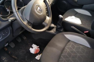 Porte arriere gauche DACIA SANDERO 2