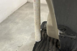 Porte arriere droit RENAULT LAGUNA 3