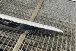 Baguette de porte arriere gauche  PEUGEOT 2008 1