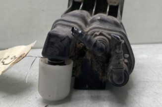 Canister RENAULT CLIO 4