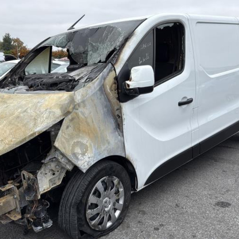 Enjoliveur de feu arriere droit NISSAN PRIMASTAR 2 Photo n°5