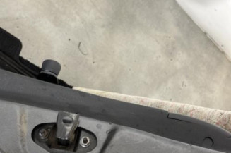 Porte arriere gauche PEUGEOT 208 1