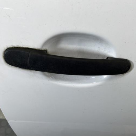 Porte avant droit VOLKSWAGEN FOX