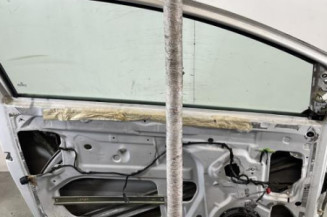 Porte avant gauche VOLKSWAGEN FOX