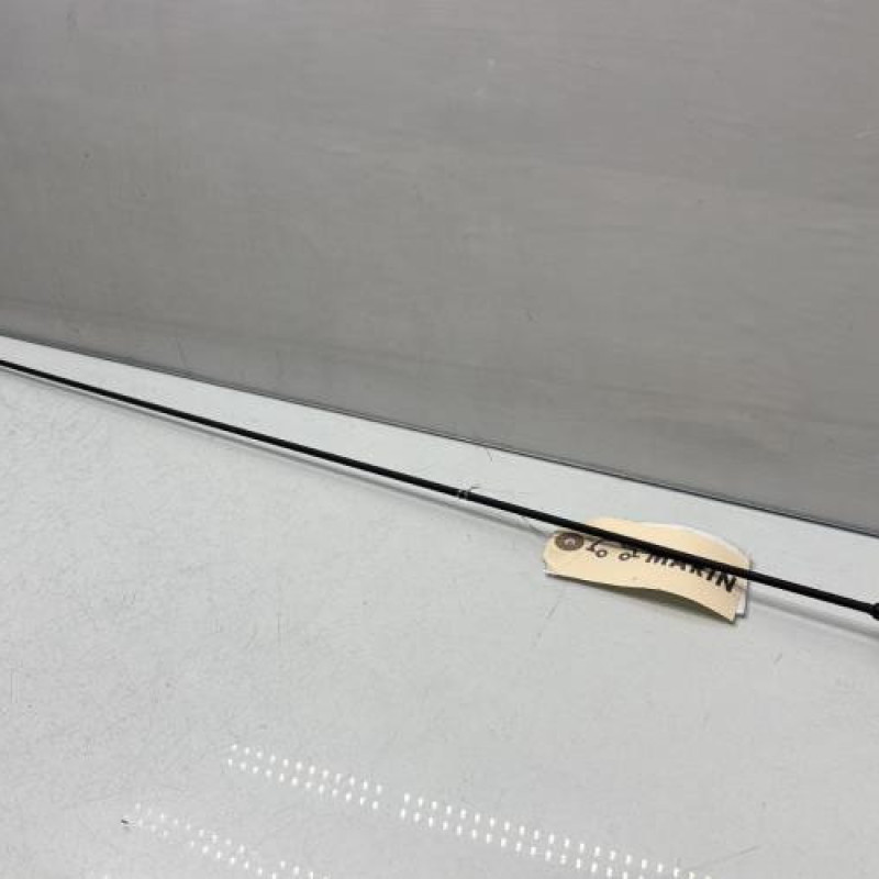 Antenne DACIA SANDERO 1 Photo n°1