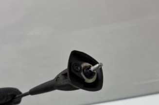 Antenne DACIA SANDERO 1