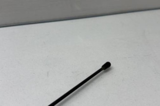 Antenne DACIA SANDERO 1