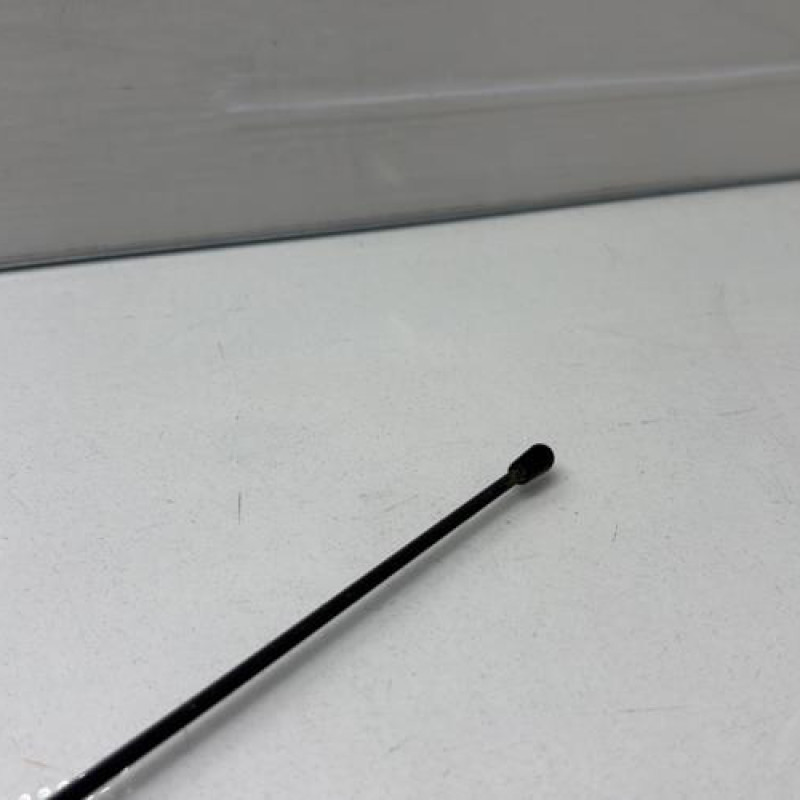 Antenne DACIA SANDERO 1 Photo n°3