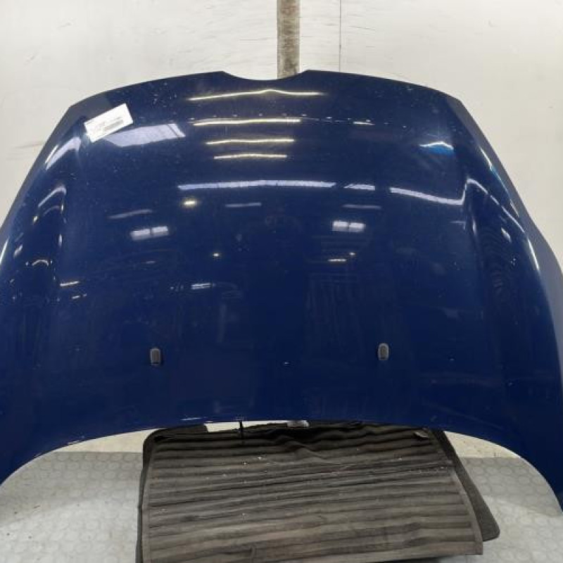 Capot FORD FIESTA 6 Photo n°1