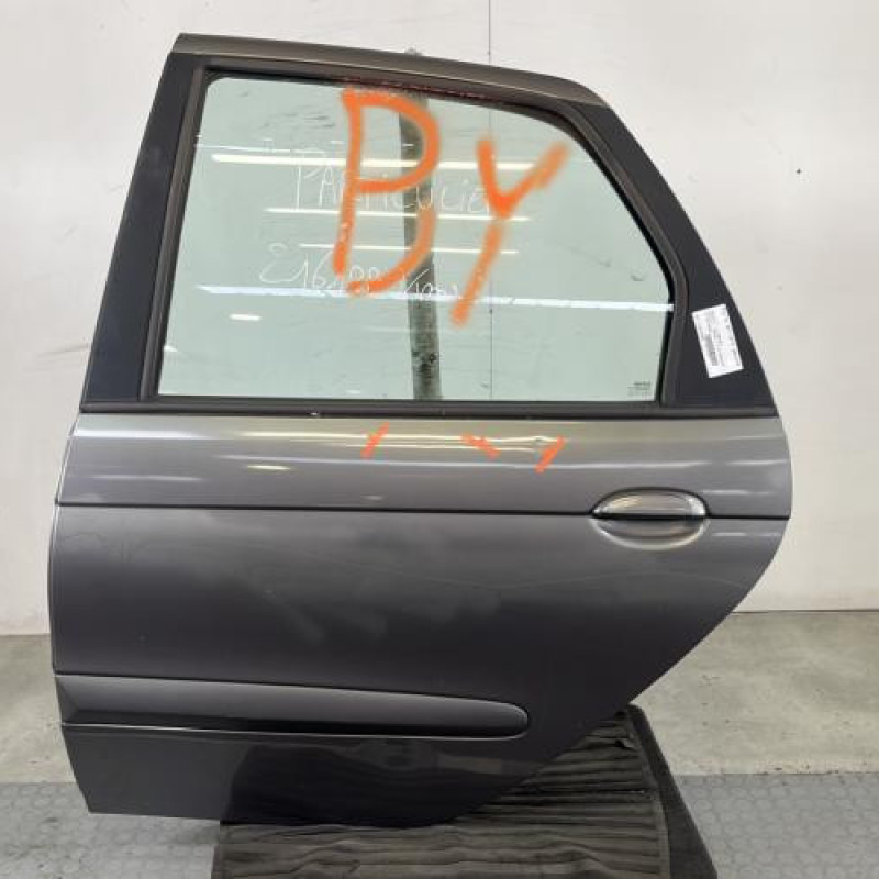 Porte arriere gauche RENAULT SCENIC 1 Photo n°1