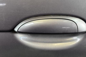 Porte arriere gauche RENAULT SCENIC 1