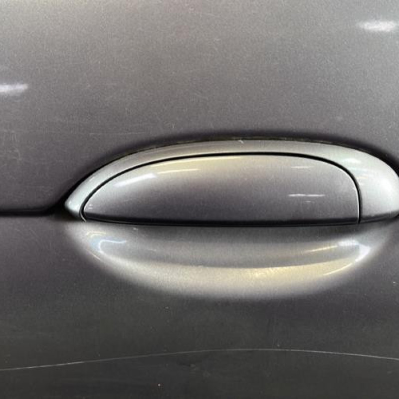 Porte arriere gauche RENAULT SCENIC 1 Photo n°2