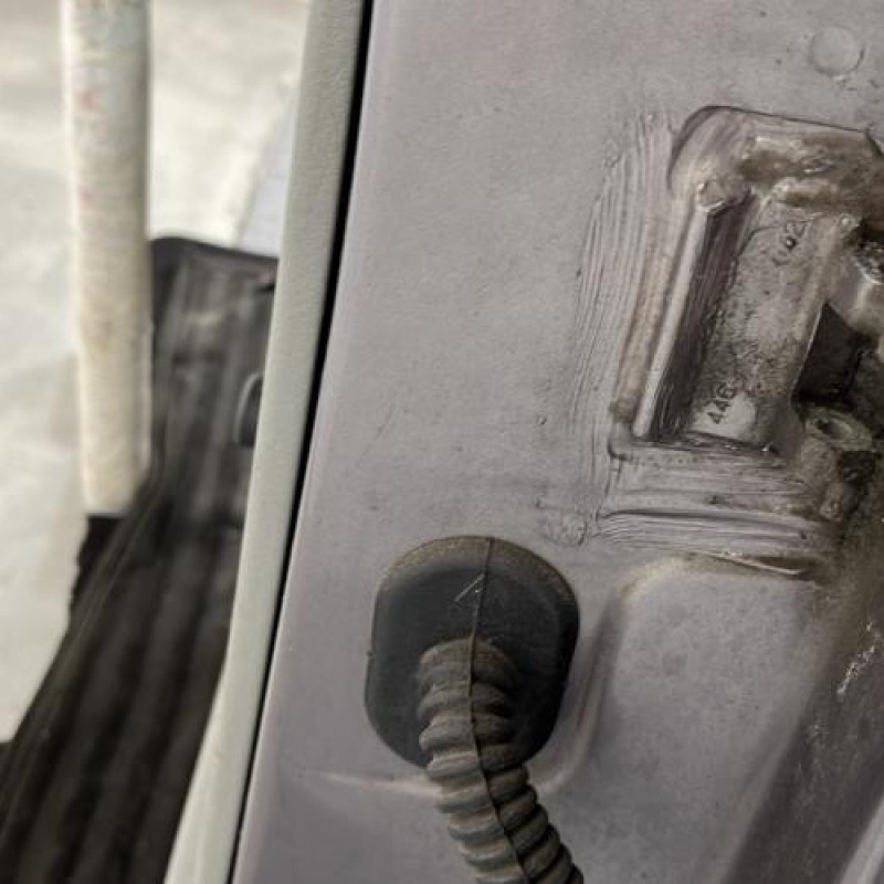 Porte arriere gauche RENAULT SCENIC 1 Photo n°4