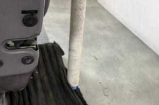 Porte arriere gauche RENAULT SCENIC 1