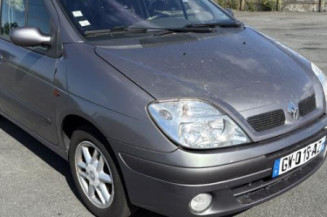 Porte arriere gauche RENAULT SCENIC 1
