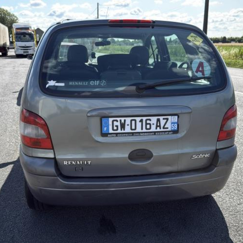 Porte arriere gauche RENAULT SCENIC 1 Photo n°12