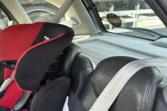 Porte arriere gauche RENAULT SCENIC 1