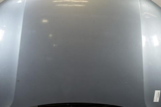 Capot VOLKSWAGEN PASSAT 4 Photo n°1