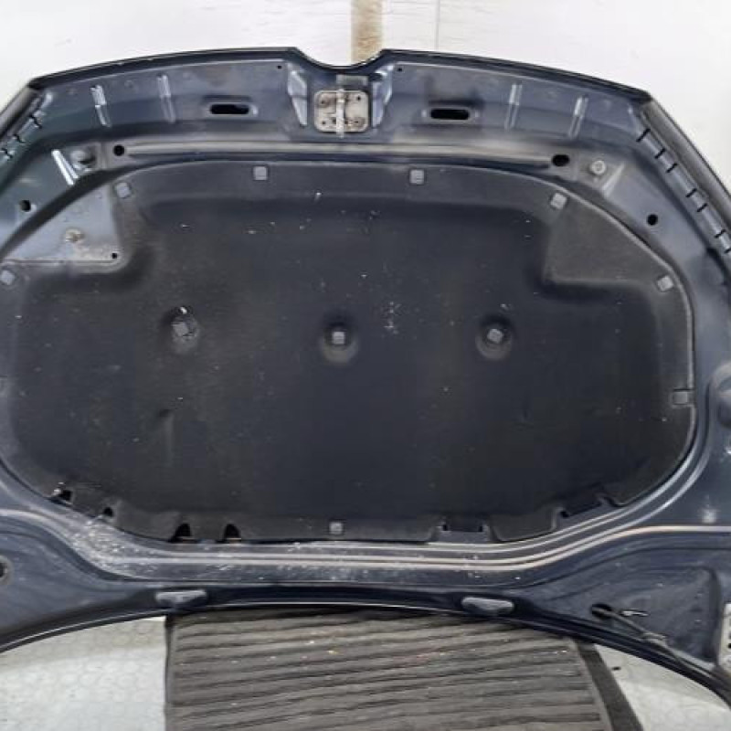 Capot VOLKSWAGEN GOLF 7 Photo n°7