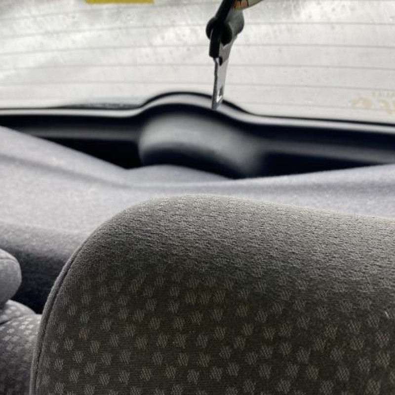 Porte arriere gauche RENAULT CLIO 2 CAMPUS Photo n°19