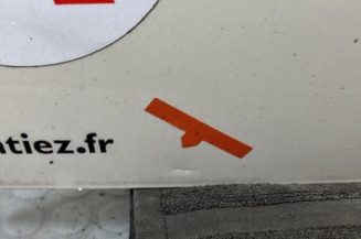 Malle/Hayon arriere PEUGEOT 1007