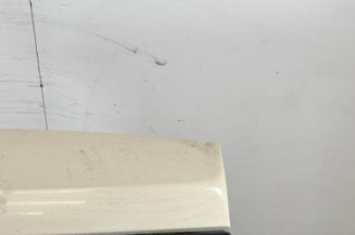 Malle/Hayon arriere PEUGEOT 1007