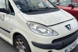 Malle/Hayon arriere PEUGEOT 1007