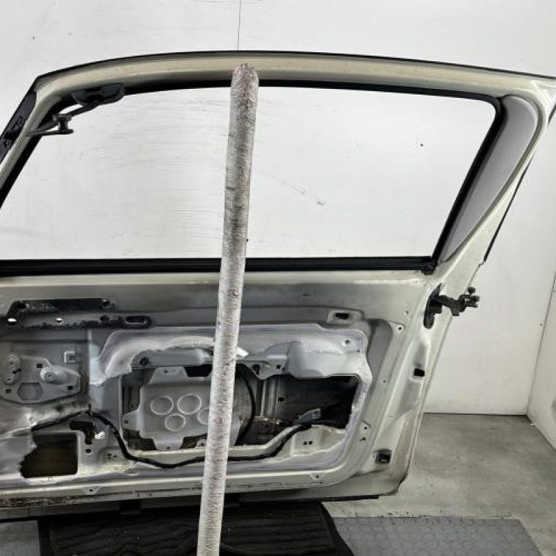 Porte avant droit PEUGEOT 1007 Photo n°7