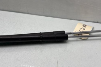 Verin de coffre DS DS3