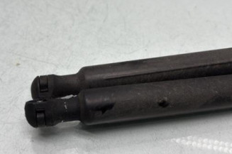 Verin de coffre DS DS3