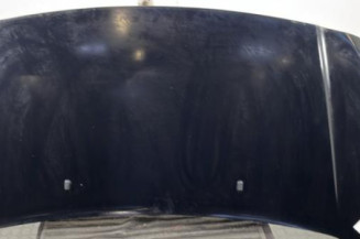 Capot FORD TOURNEO CONNECT 2 Photo n°1