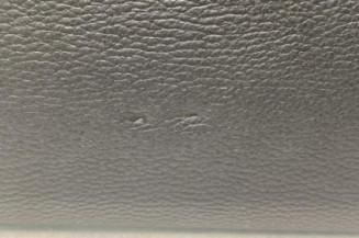 Pare soleil gauche BMW X1 E84