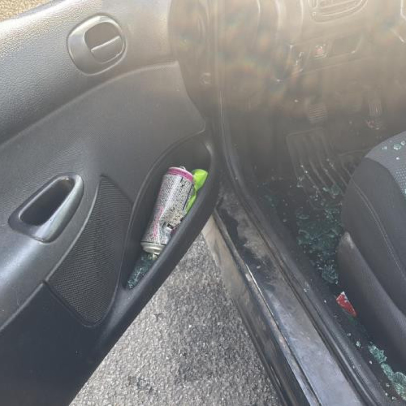 Optique avant principal gauche (feux)(phare) PEUGEOT 206 Photo n°19