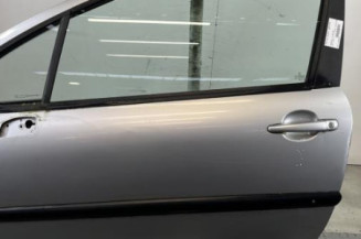 Porte avant gauche PEUGEOT 207 Photo n°1